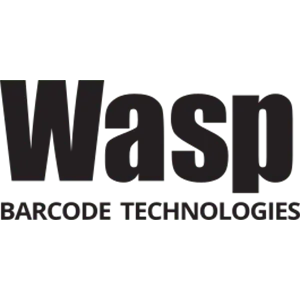 Wasp